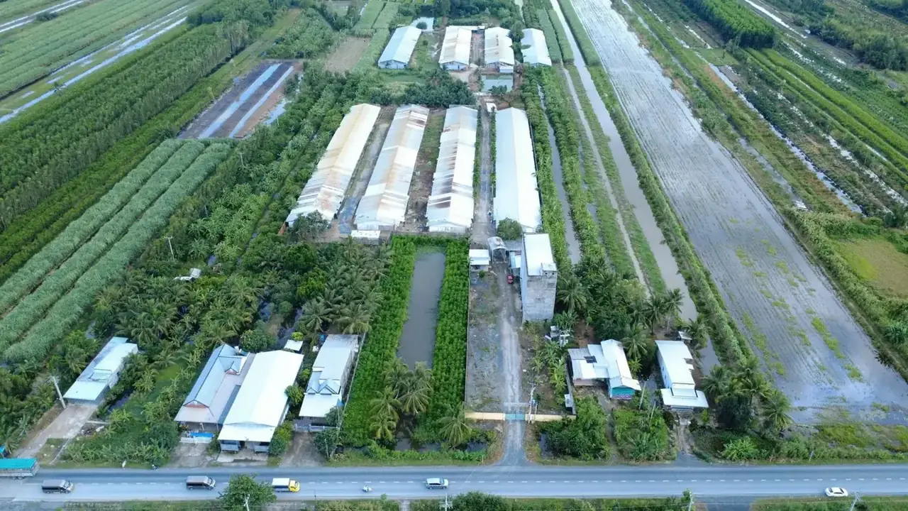 Toàn cảnh chuỗi trang trại gà K39 thi công mạng và camera